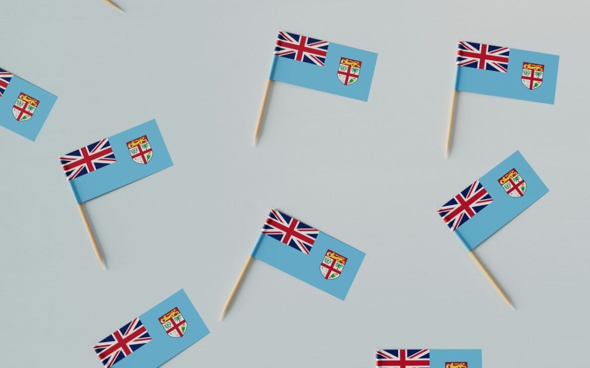 A group of toothpicks with flags on them.